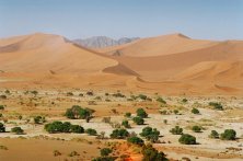 Namib sivatag