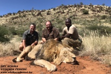 Lion hunt