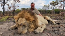 2021 Lion vadaszat a NIASSA Nemzeti Parkban