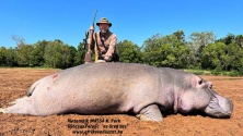 2022 Hippo vadaszat a NIASSA Nemzeti Parkban