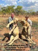 2022 Lion vadaszat a NIASSA Nemzeti Parkban